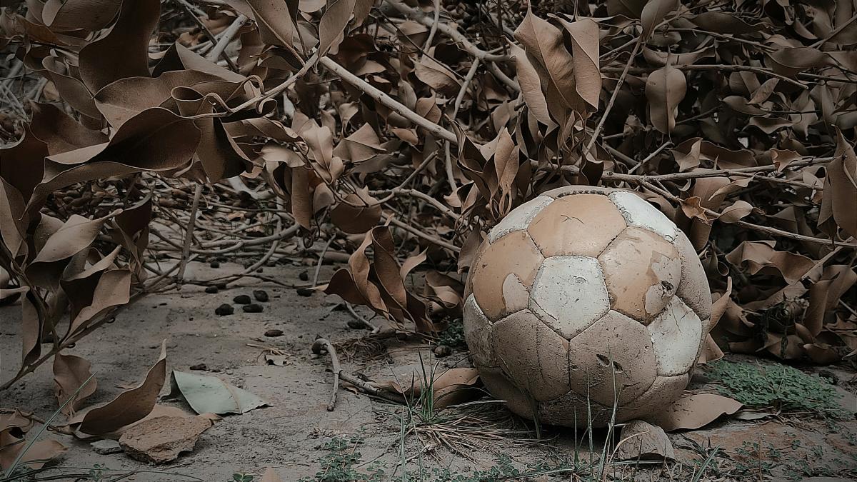 a soccer ball sitting on the ground surrounded by leaves