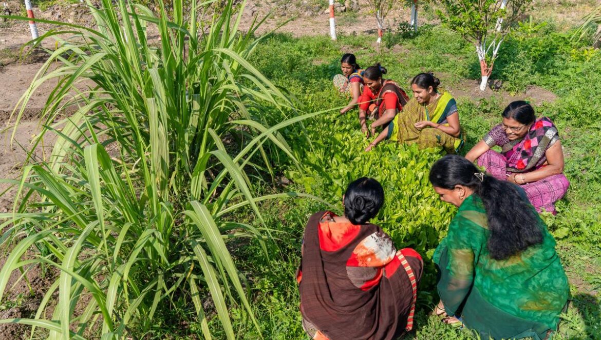 a group of women sitting in a field