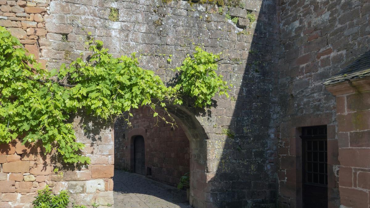 a stone building with a tree growing out of it