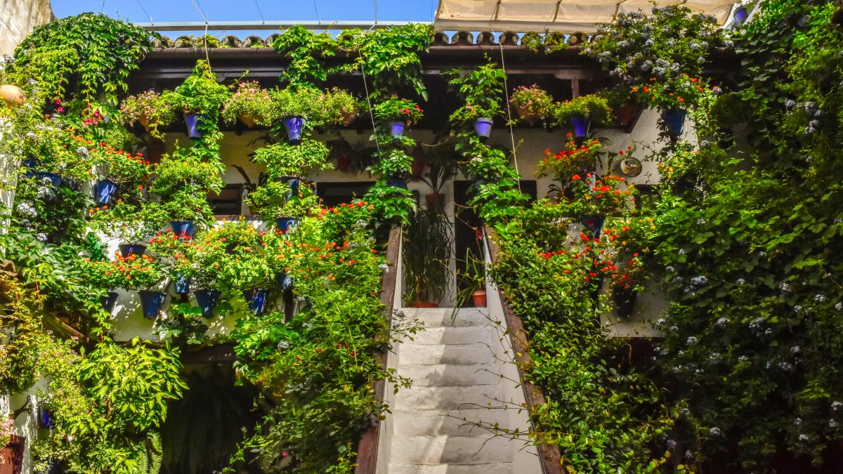 A building with a bunch of plants growing on it