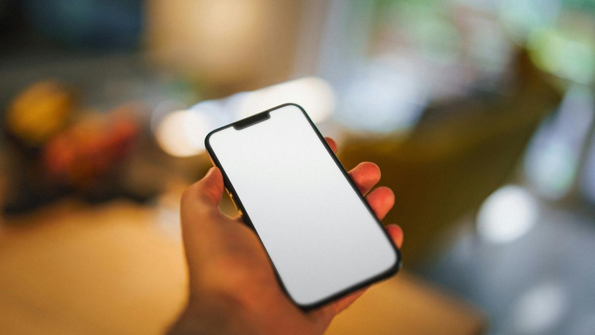 A person holding a cell phone in their hand