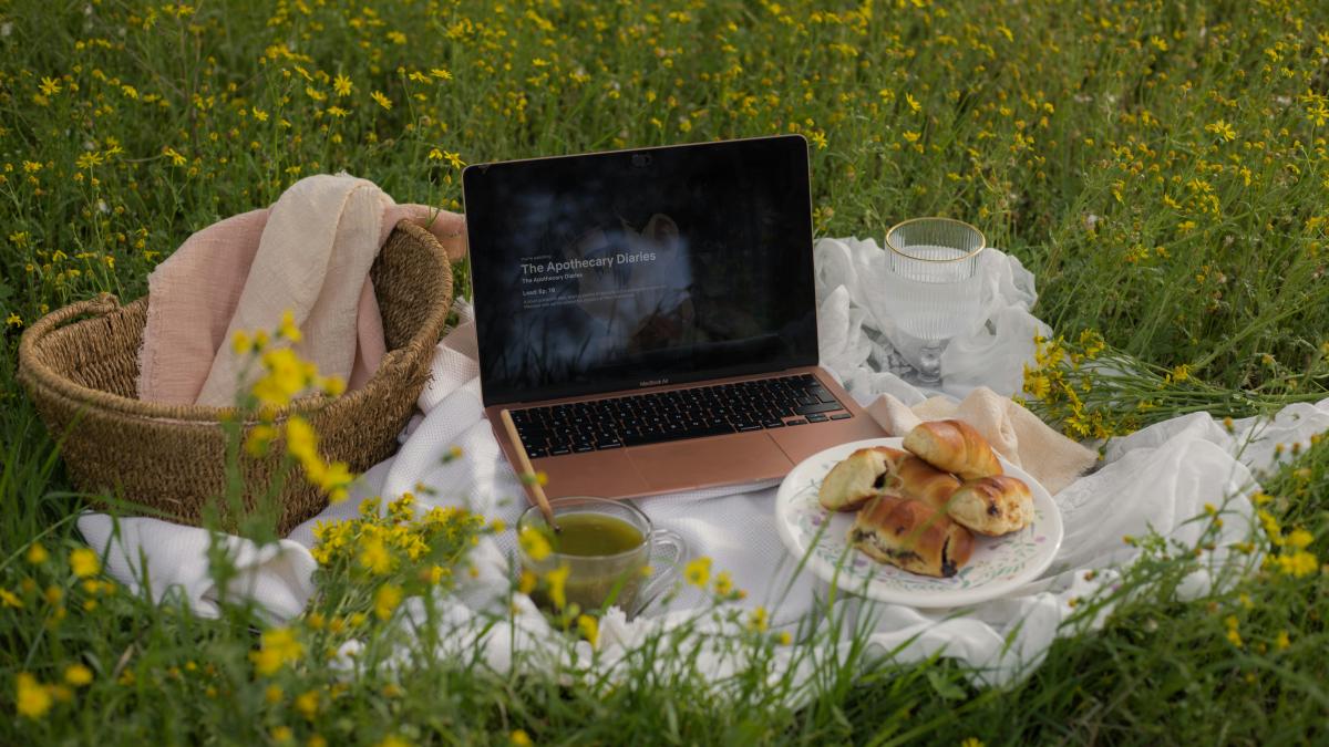 Laptop, food, and drinks on a picnic blanket.
