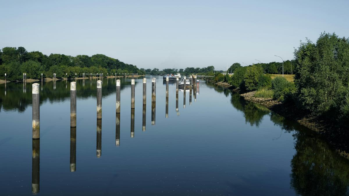 A serene river with wooden posts.