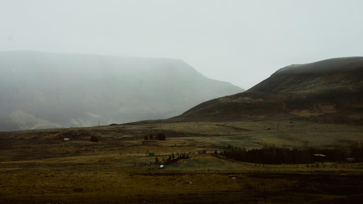 A grassy field with a hill in the background