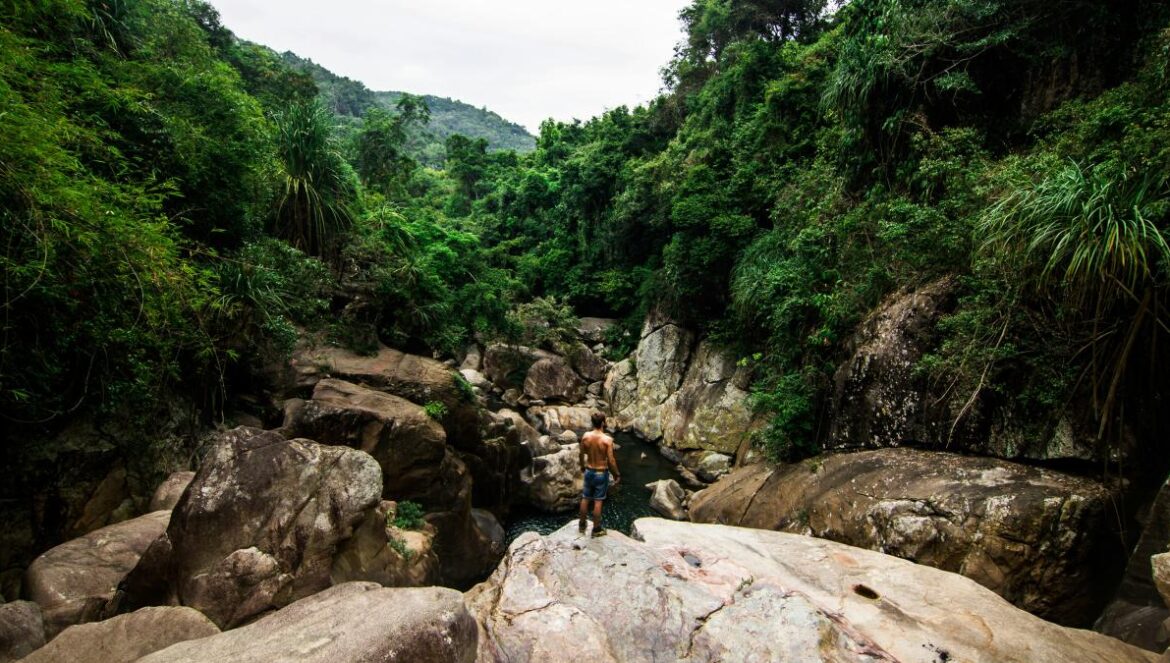 person standing on rock facing forest
