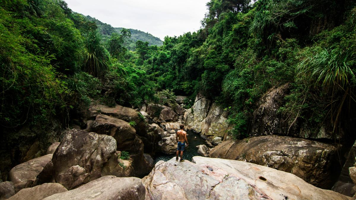 person standing on rock facing forest