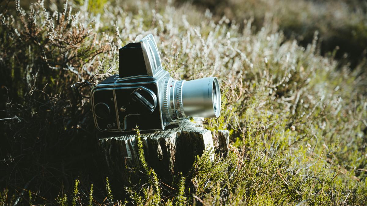 gray and black camera on wood on grass field