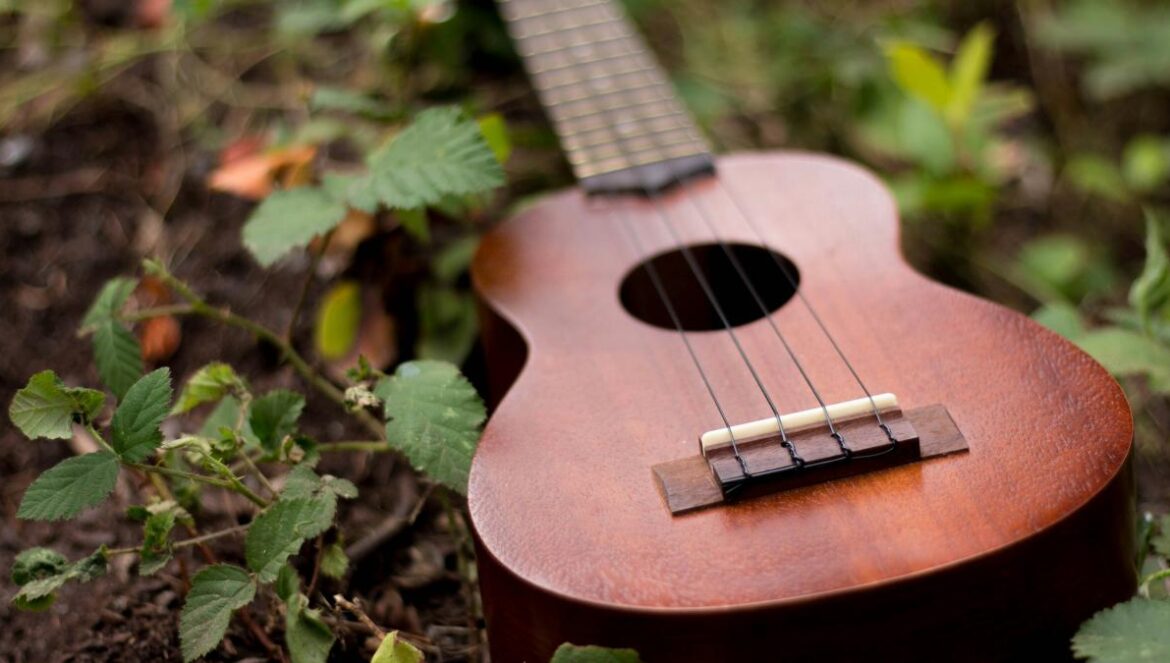 brown ukulele on top of plants