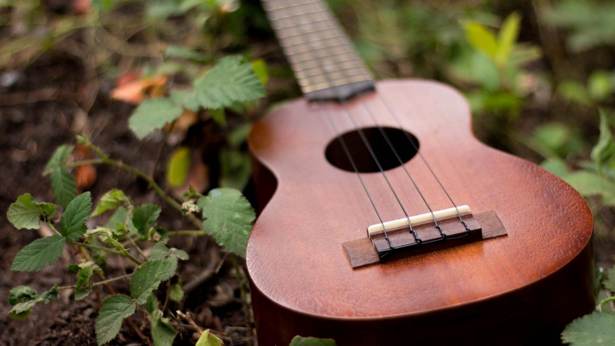 brown ukulele on top of plants