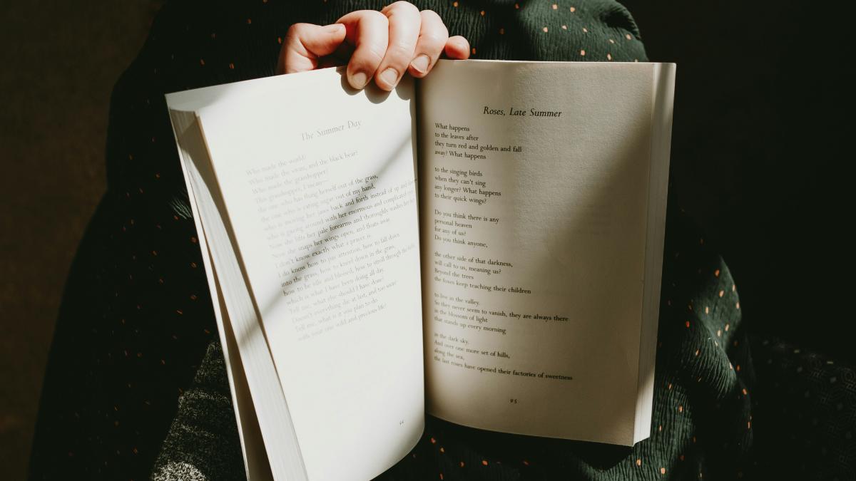 a person holding a book in their hands