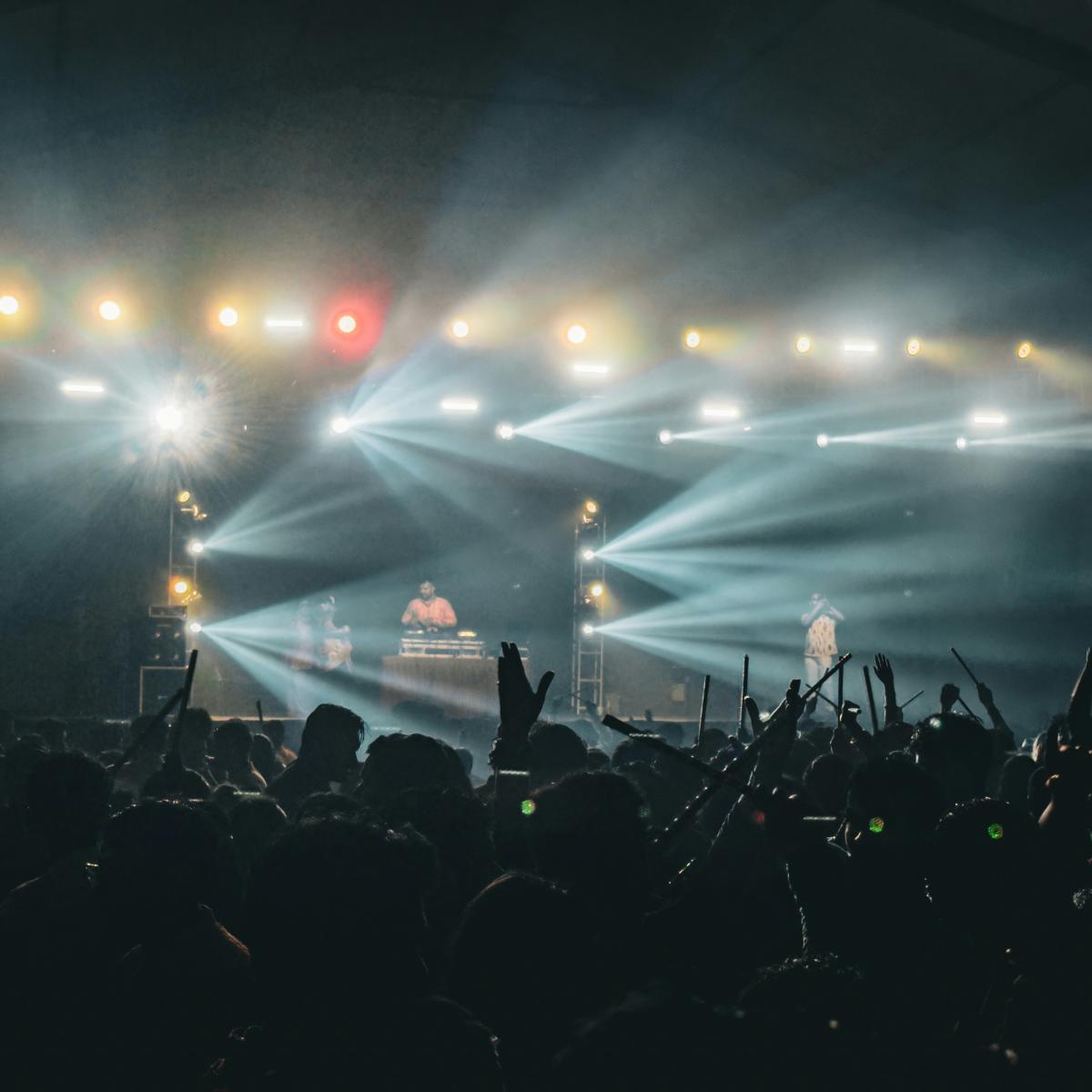 A large crowd of people at a concert